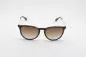Preview: Ray Ban RB4171 ERIKA (865)