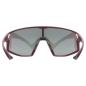 Preview: Uvex Sports skyryse (burgundy mat)