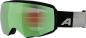 Preview: Alpina GRANBY 2 (black-green matt - grün)