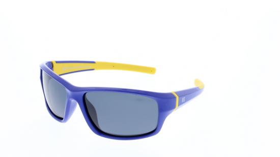 Preview: HPS80101 (1)