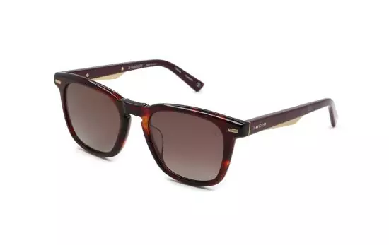 DAPS120 (03)