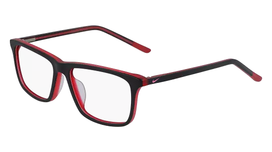NIKE 5541 (015)