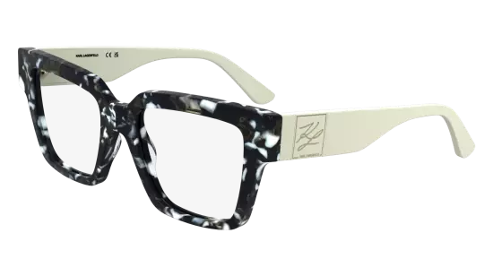 KL6196 (016)
