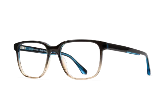 Einstoffen Visionär (b08f5d)