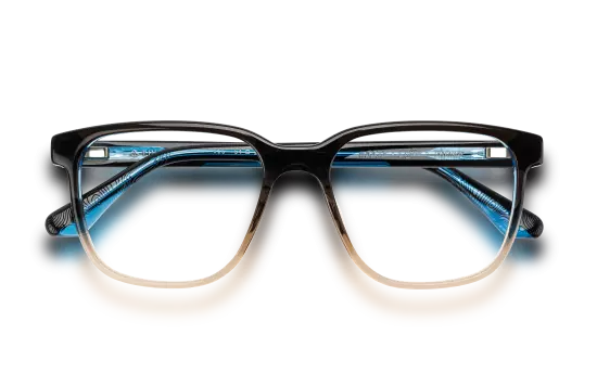 Visionär (b08f5d)