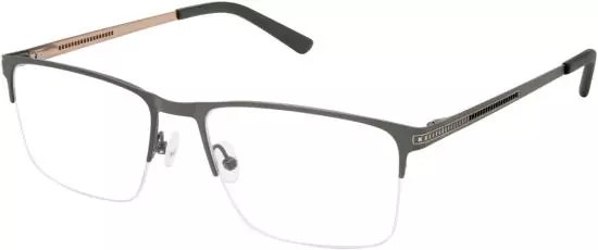 SF-1176T (116)