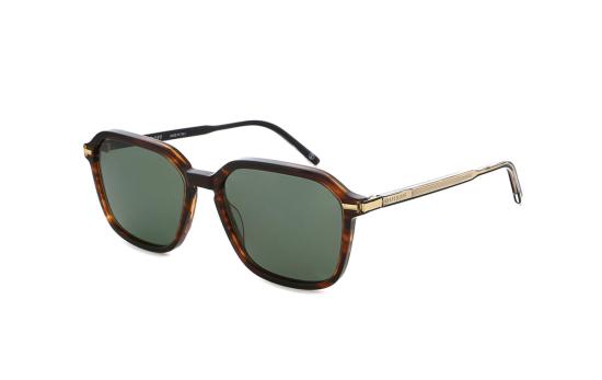 DAPS105 (02R)