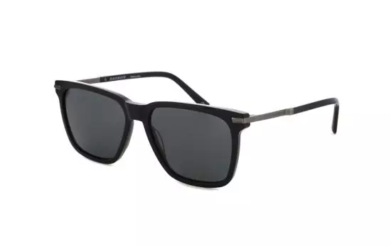 DAPS110 (1)