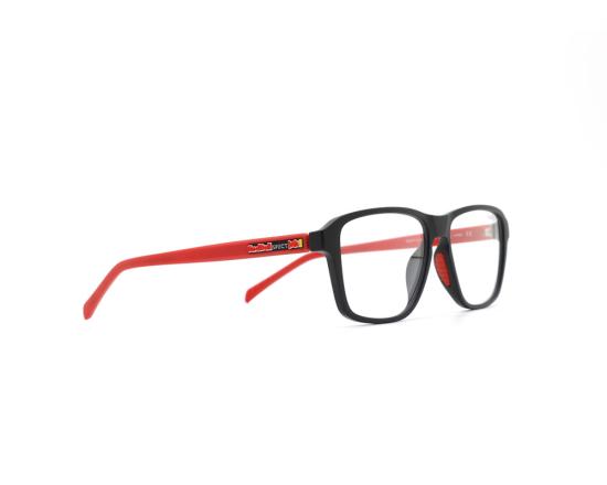 REDP110 (01)