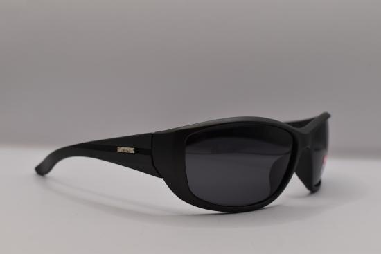 Preview: PVS-8009 (AP-pol)