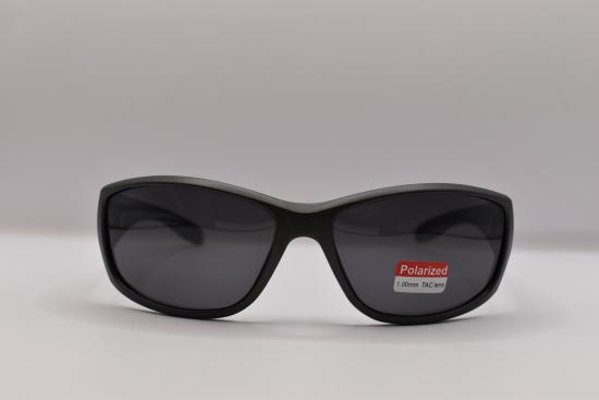 Preview: PVS-8009 (AP-pol)