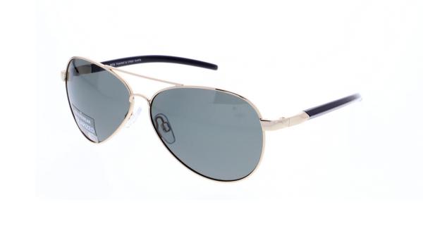 HIS POL HP00100 (3)