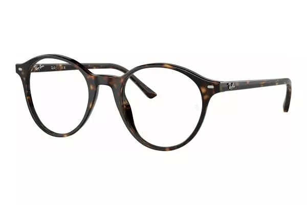 Ray Ban RB5430 (2012)