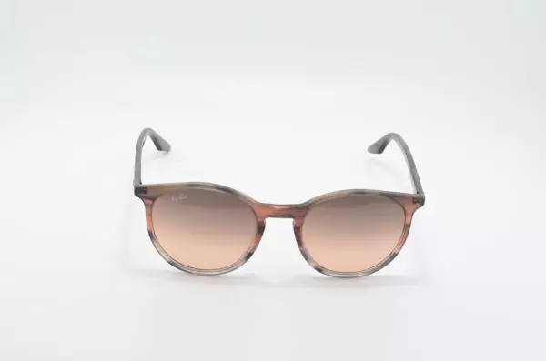 Ray Ban RB2204 (1395)