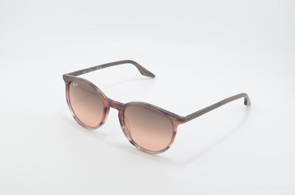 Ray Ban RB2204 (1395/3B)