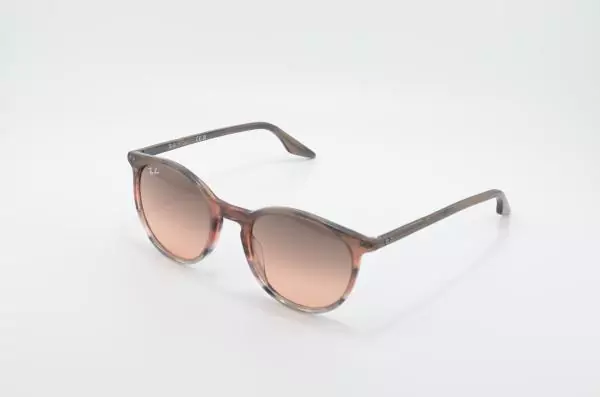 Ray Ban RB2204 (1395)