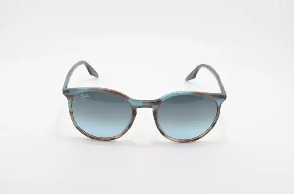 Ray Ban RB2204 (1394)
