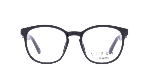 Spect FRAN (1)