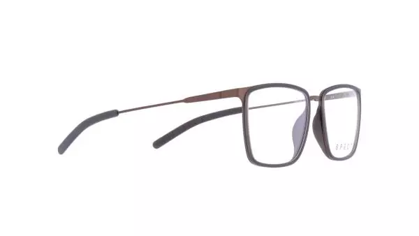 Spect FRED (3)