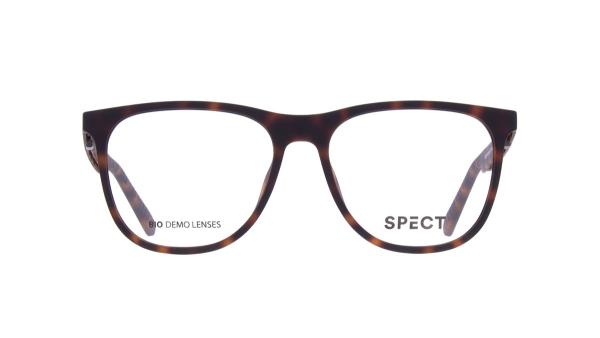 Spect HENRY (4)