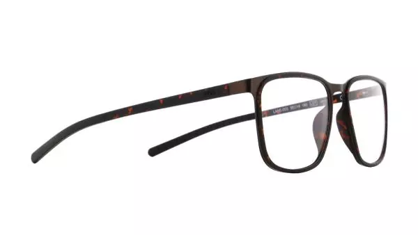 Spect LANE (3)