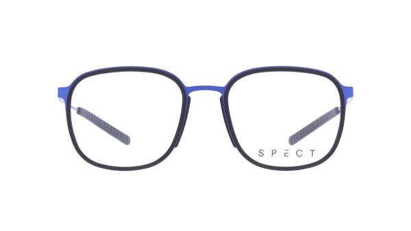 Spect RAFF (2)