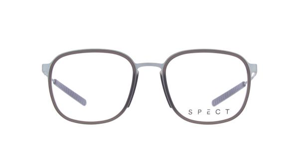 Spect RAFF (4)