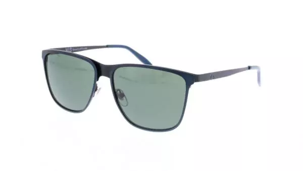 HIS HS154 (003)