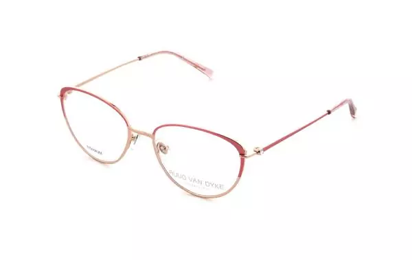 Ruud van Dyke 1382T (2)