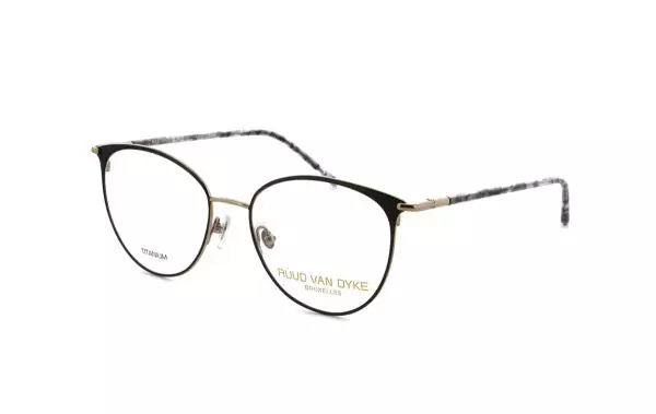 Ruud van Dyke 1480T (3)