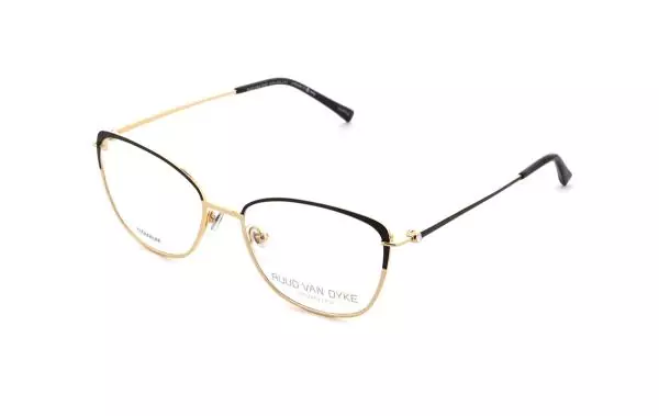 Ruud van Dyke 1383T (4)