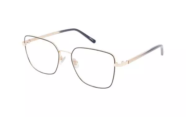 Ruud van Dyke 1607T (1)