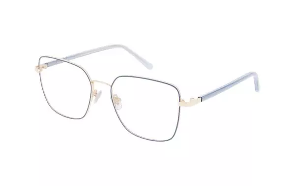 Ruud van Dyke 1607T (3)