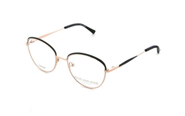 Ruud van Dyke 1389T (2)