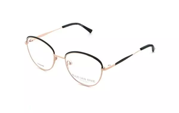Ruud van Dyke 1389T (2)