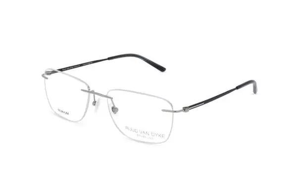 Ruud van Dyke 1564T (5)