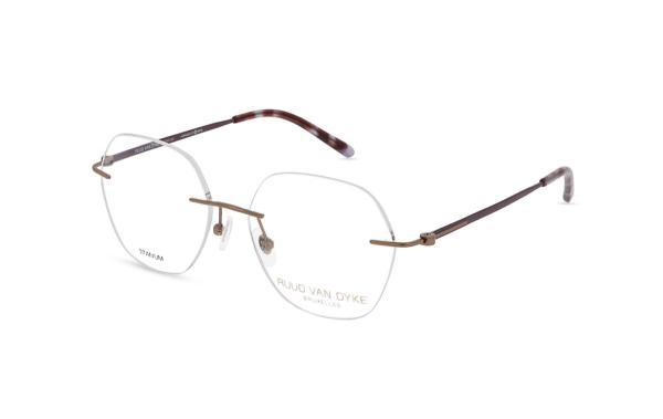 Ruud van Dyke 1577T (2)