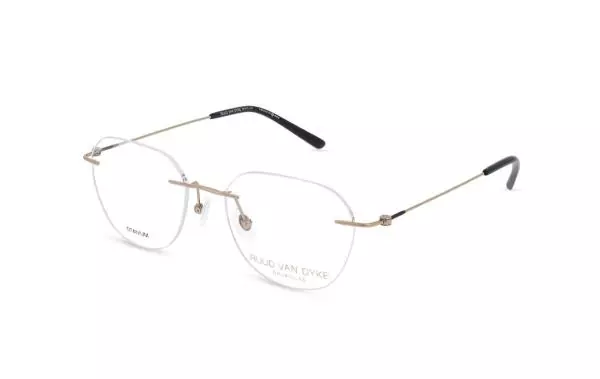 Ruud van Dyke 1604T (1)