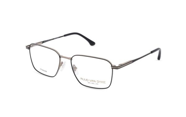 Ruud van Dyke 1611T (1)