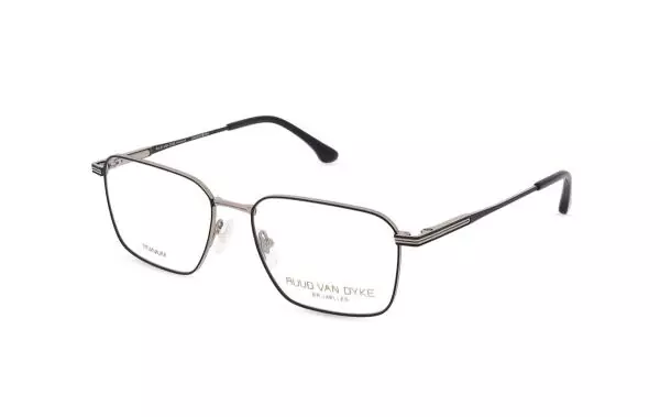 Ruud van Dyke 1611T (1)
