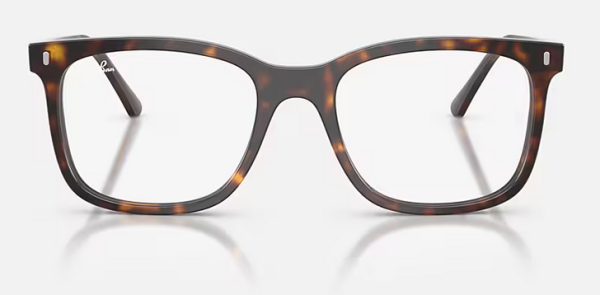 Ray Ban RB5446 (2012)