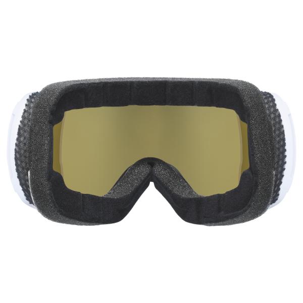 Uvex Sports Downhill 2100 WE CV (artic SL, wh-green)