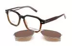 Die Brille DAP144 gibt es auch in der Farbe Havanna