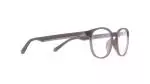 Die Brille FRAN gibt es auch in der Farbe Braun