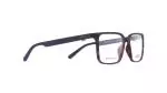 Die Brille SEPU gibt es auch in der Farbe Havanna