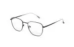 Die Brille 1446T gibt es auch in der Farbe Gun