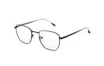 Die Brille 1446T gibt es auch in der Farbe Braun