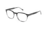 Die Brille HPL805 gibt es auch in der Farbe Grau
