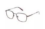 Die Brille HPL815 gibt es auch in der Farbe Havanna