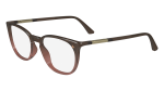 Die Brille CK24513 gibt es auch in der Farbe Braun